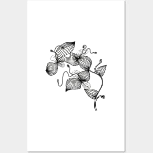 Leafy Summer Sprout, Black and White Digital Line Drawing Posters and Art